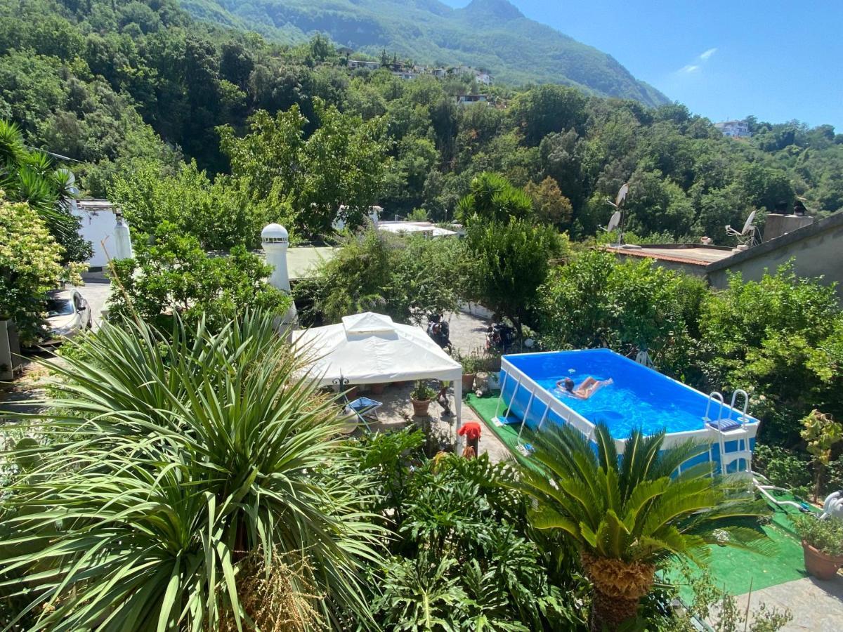 Casamicciola Terme B&B Lodge Dell'Ospite Ischia מראה חיצוני תמונה